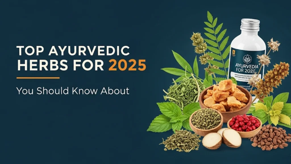 Top Ayurvedic Herbs